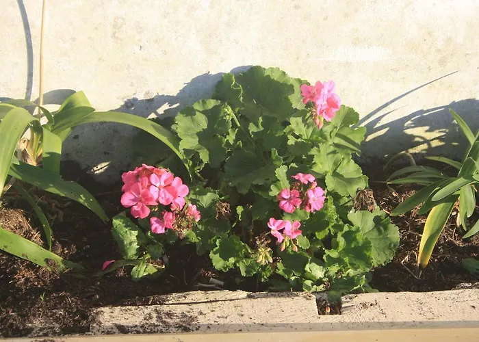 Сasa de vacaciones Casa Terán Oviñana