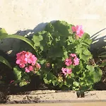 펜션 Casa Teran 오비나라