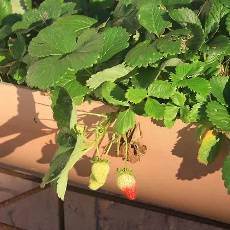 Hébergement de vacances Casa Teran