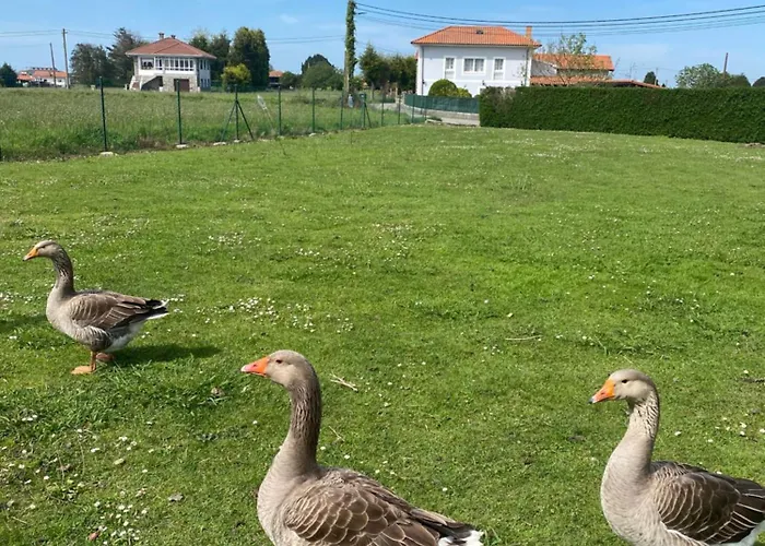 Casa Teran * Oviñana