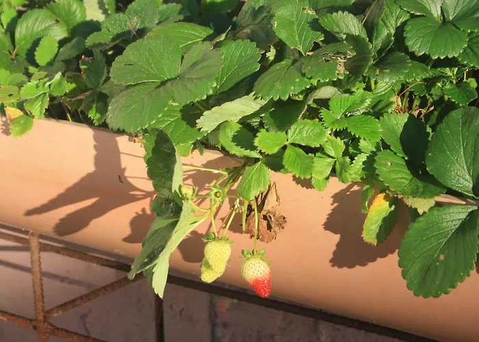 Hébergement de vacances Casa Teran