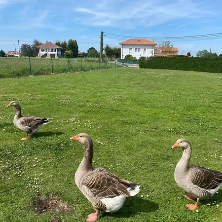 Casa Teran * Oviñana
